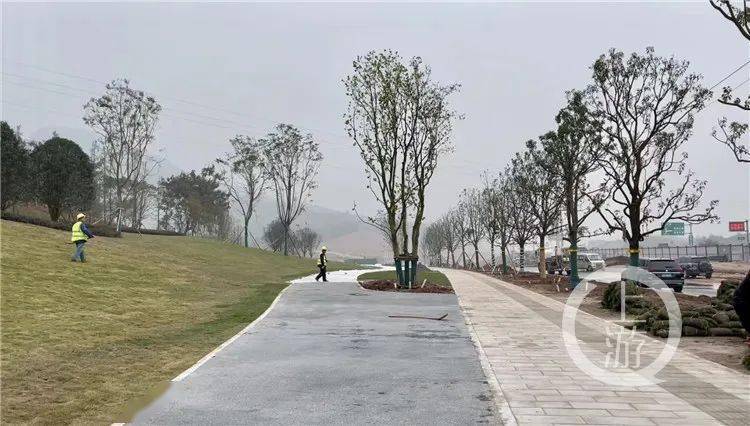 科学大道有多“科学”？示范区即将完工投入！