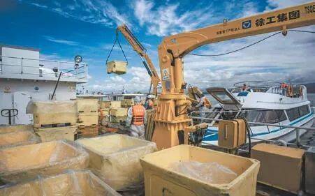 冷水观赏鱼排行榜_“冷水”养出“绿产业”——生态健康养殖推动我省冷水鱼产业高质量...