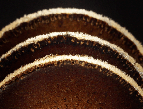 拍卖|严选 | 喉咙灭火器！一颗被拍卖3.8万元的“皇家圣品”化橘红，润喉好舒服