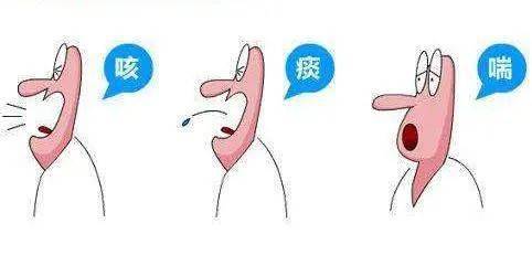 治疗|世界慢阻肺日｜健康呼吸 无与伦比