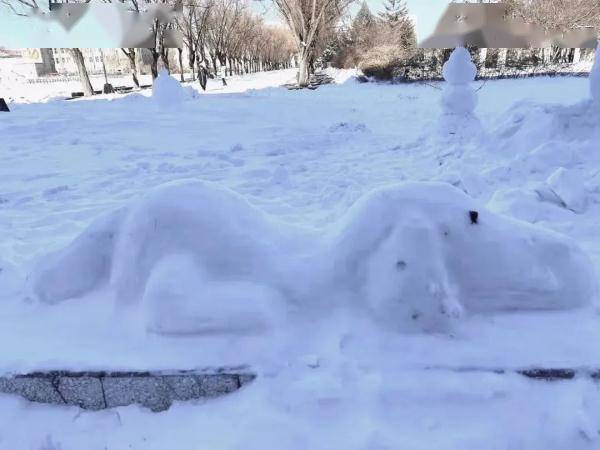 气温黑龙江女大学生的“雪灯”火了！别急，雨雪马上又到，你也能玩了！