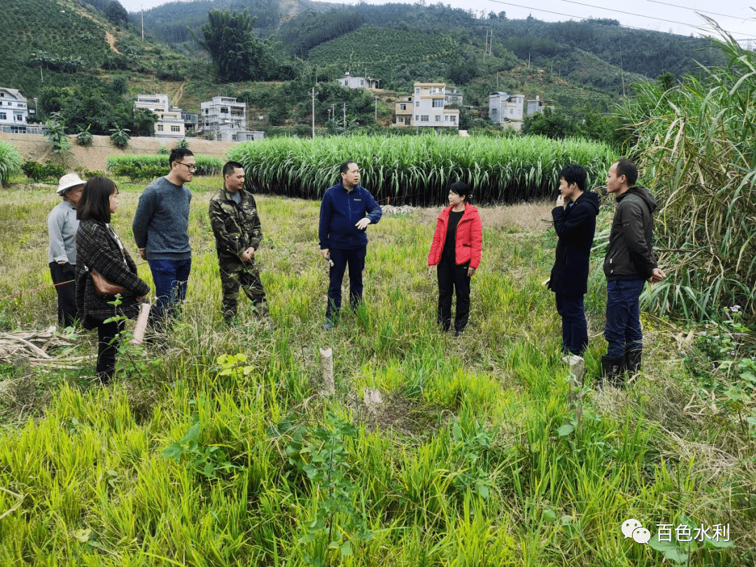 百色市水利局总工程师韦武军带队到西林县开展水利工作任务落实情况