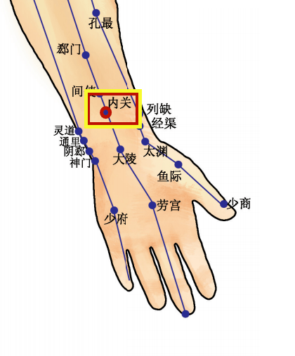 紫图图书《图解黄帝内经》足三里穴 足三里穴属足阳明胃经穴