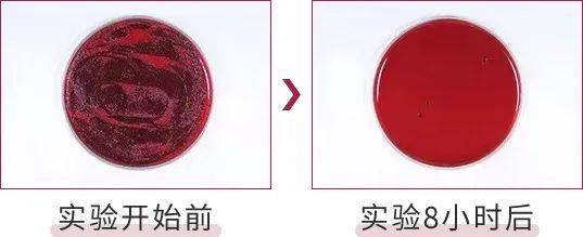 效果|又到火锅季，担心上火？降火神器了解一下