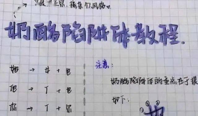 习惯|高中女生“饺子字体”走红，圆圆滚滚十分可爱，阅卷老师赞赏有加（可借鉴咯）