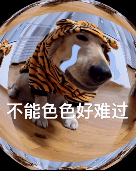 无内鬼,抓紧收图!