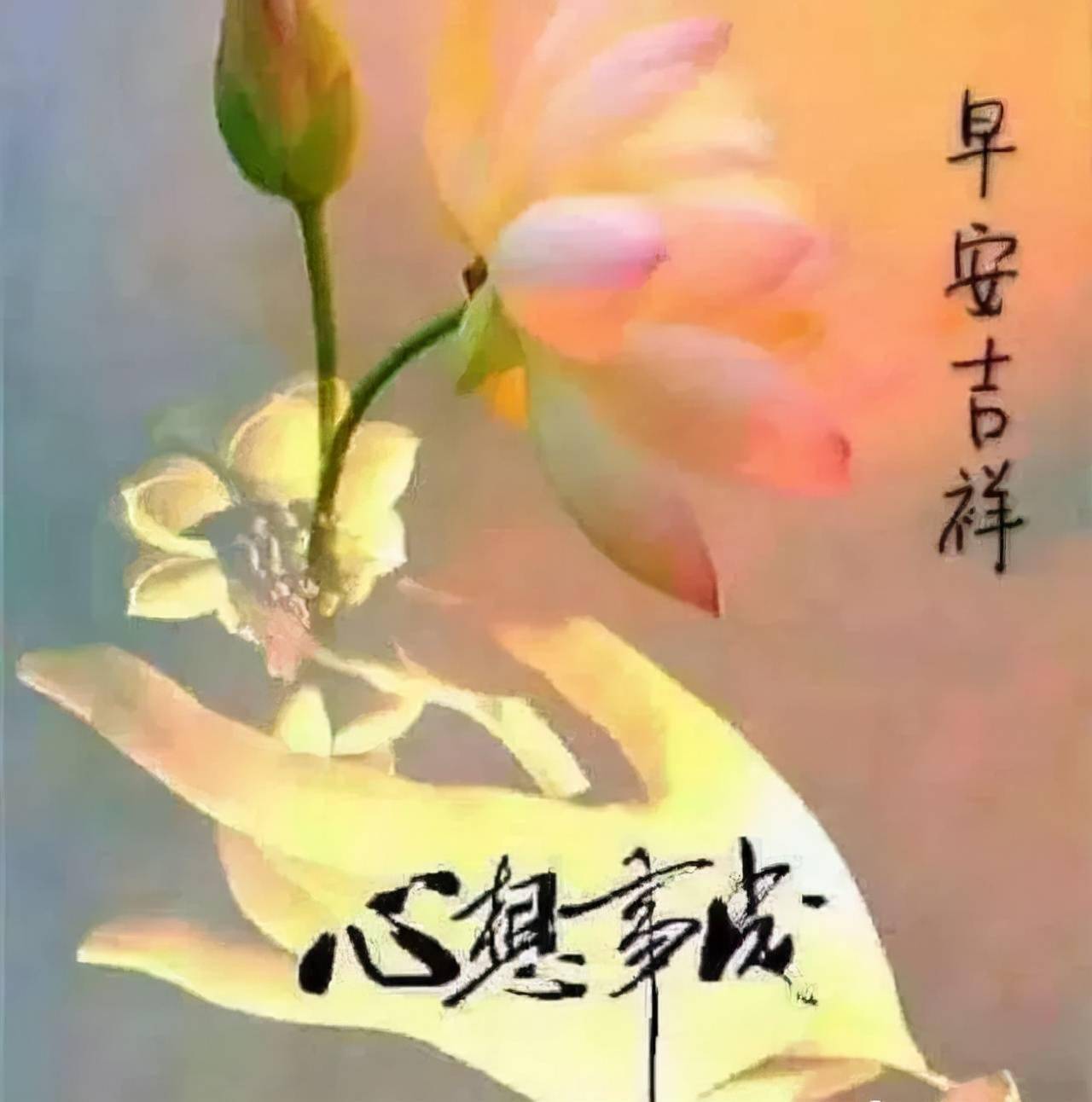 早安吉祥我的祝福你知道沒有華麗的詞語早安