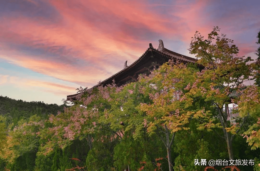 特色|谁看都心动！烟台这个5A景区浓缩了晚秋的绚烂，看图已醉！