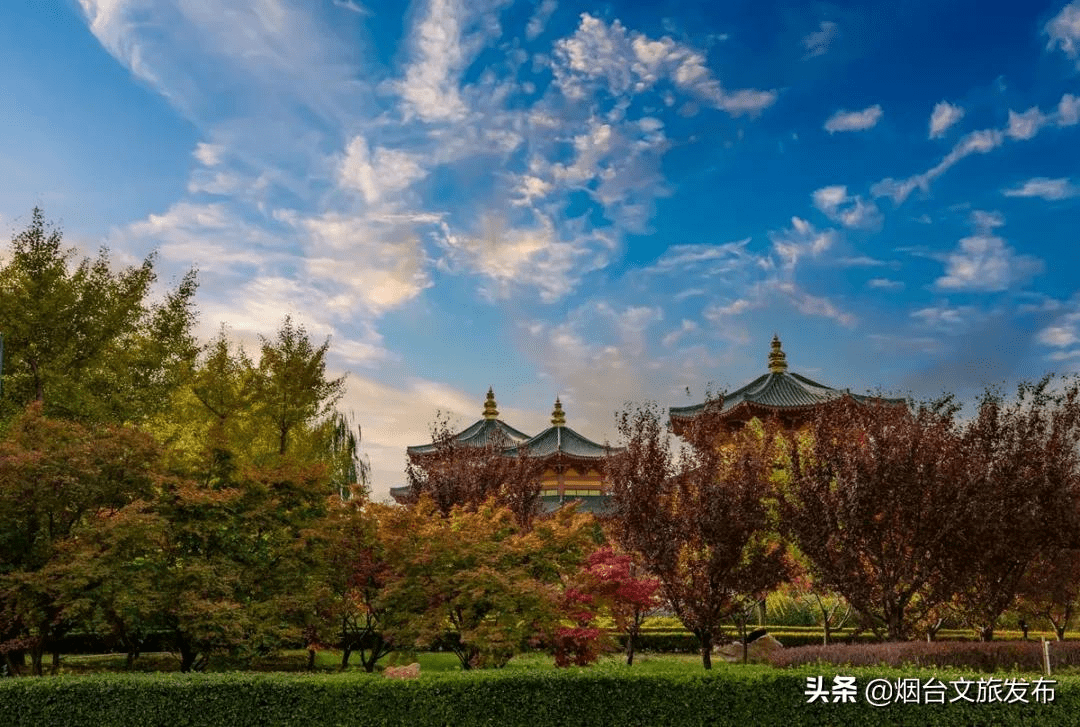 特色|谁看都心动！烟台这个5A景区浓缩了晚秋的绚烂，看图已醉！