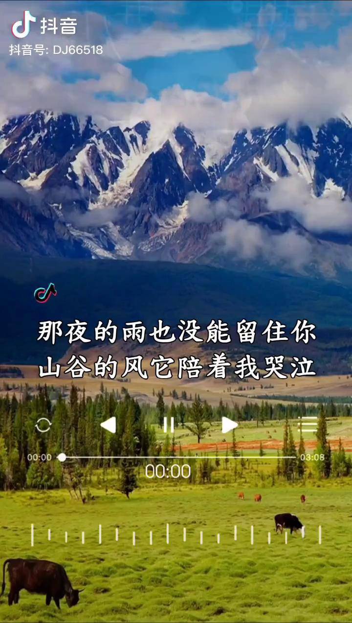 可可托海的牧羊人亚男完整版来了后面小段清唱见证真实唱功热门音乐