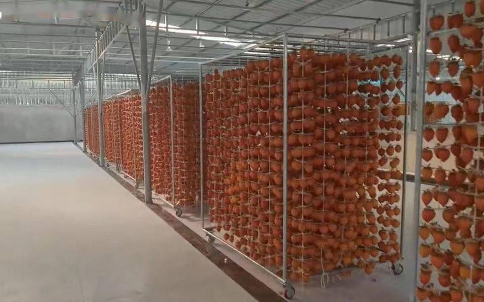 约5万吨富平柿饼下月中旬上市因降雨减产柿饼产量下滑