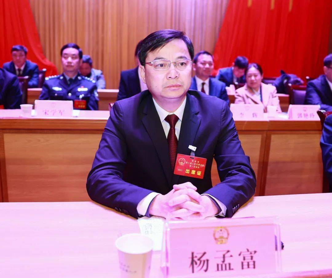 杨孟富当选钟祥市人民政府市长 王小庆当选钟祥市人大常委会主任_工作