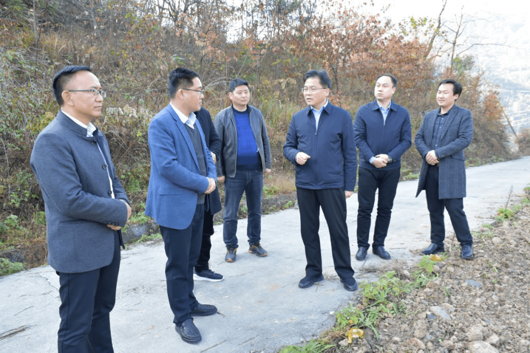 李全成调研巩固衔接和产业建设工作