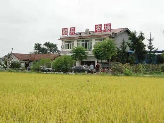 遂宁这个家庭农场被全国点赞_四川