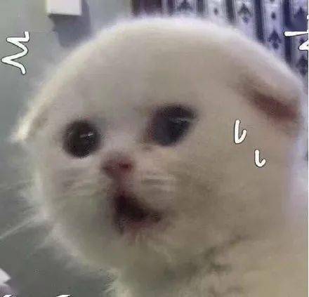 世界首款4nm芯片发布，跑分竟能破百万！