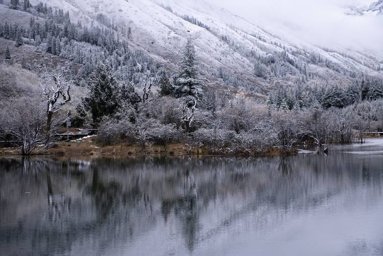 显得|云游四川 半山彩林半山雪丨四姑娘山换上“混搭”彩色新衣