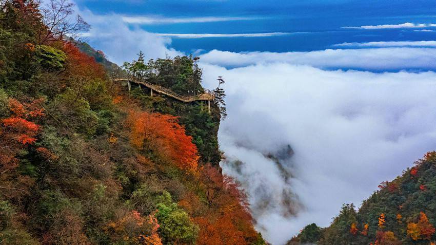 气势|四川宣汉：深秋大峡谷 漫山红叶醉游人