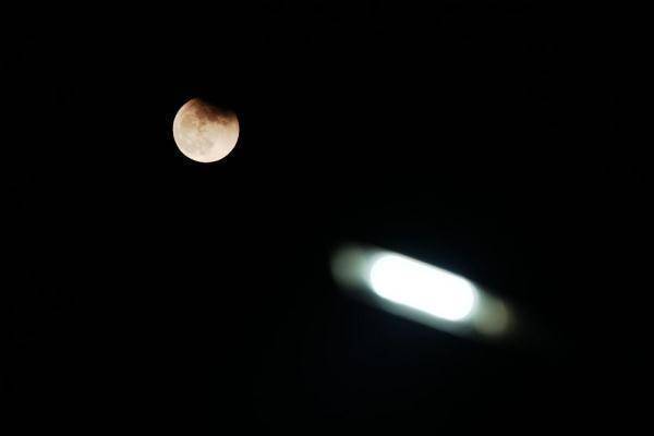 江文|天涯共此“食”，这些精彩大片请收好