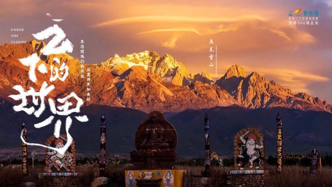 海报国产海报学起来！碧桂园新发布，野味儿十足