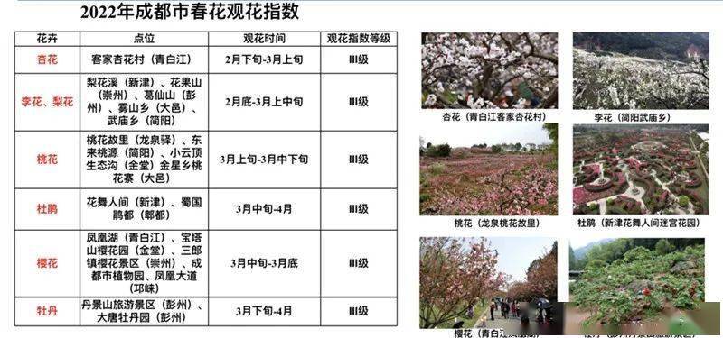 树王|公园城市观花指数来啦！腊梅、芙蓉、还有1900年“树王”......