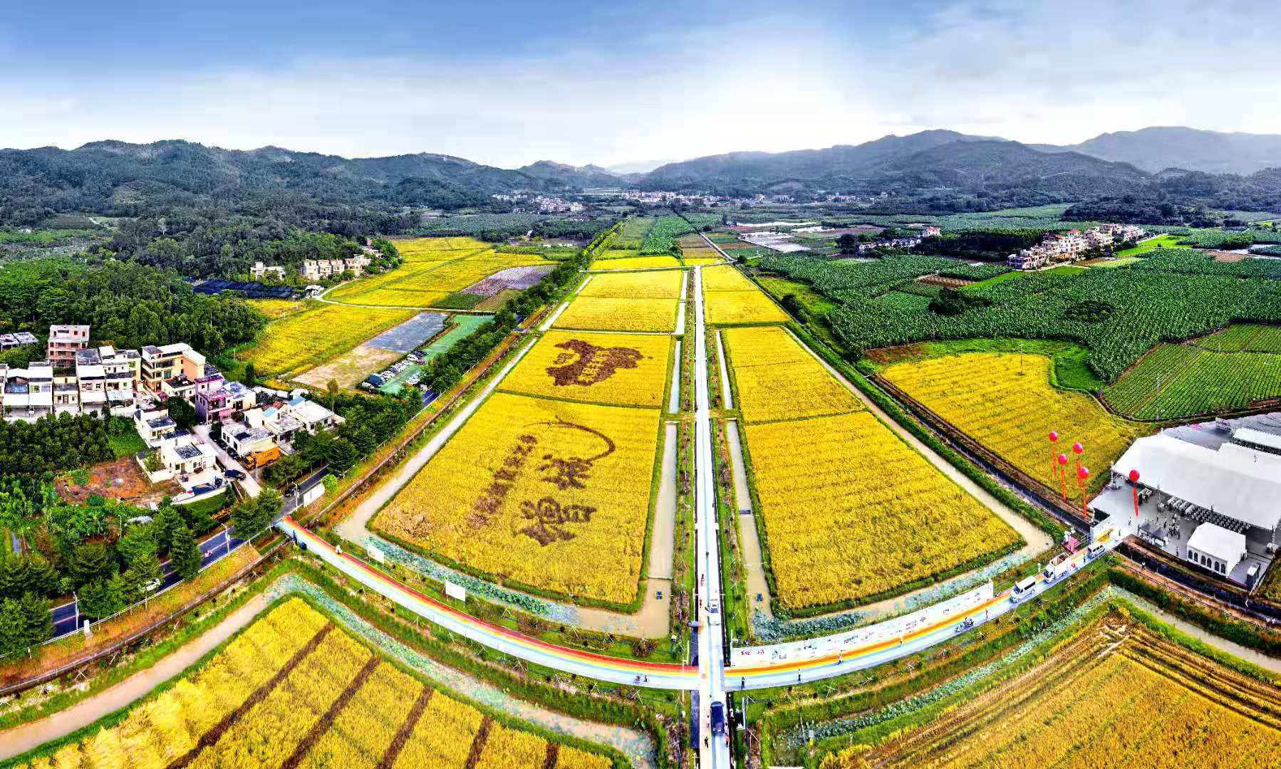 增城区入选首批创建国家级农业现代化示范区名单_乡村