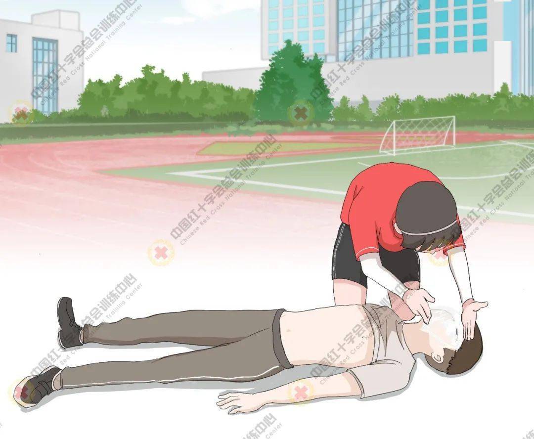 a开放气道开放气道:当患者无颈椎损伤时,可以采用仰头举颏法开放气道.