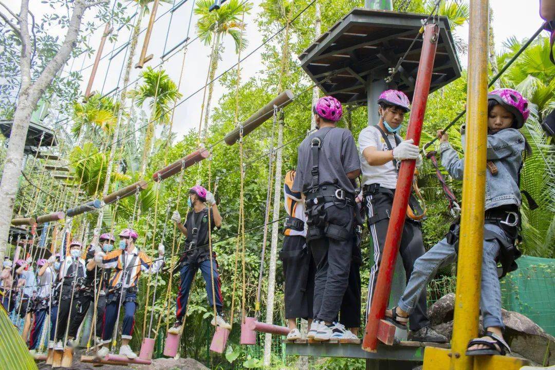 提升团队协作能力进一步激发个人潜能60种关卡,重重挑战雨林拓展step2