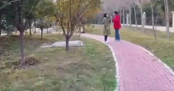 因为|小莉一哭，全网都气坏了