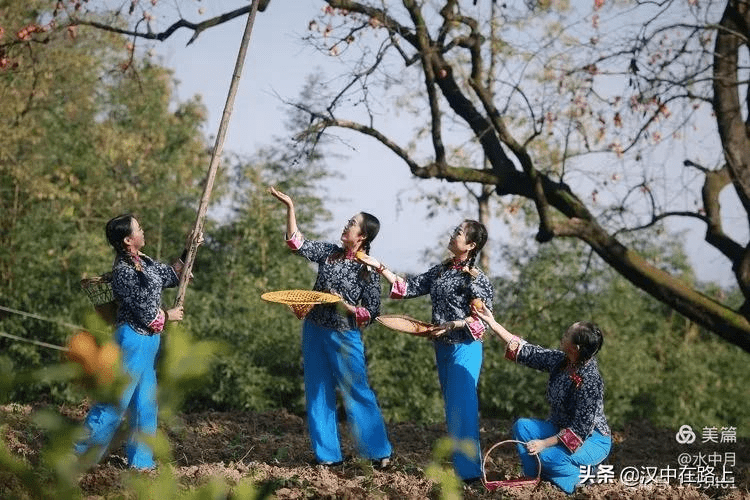 睡树下修仙，短剧中的奇幻之旅，睡树下修仙，奇幻之旅