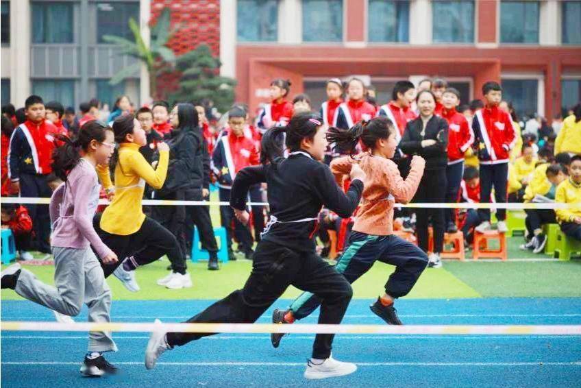 巴蜀|奥运冠军施廷懋为巴蜀小学体育节加油助威