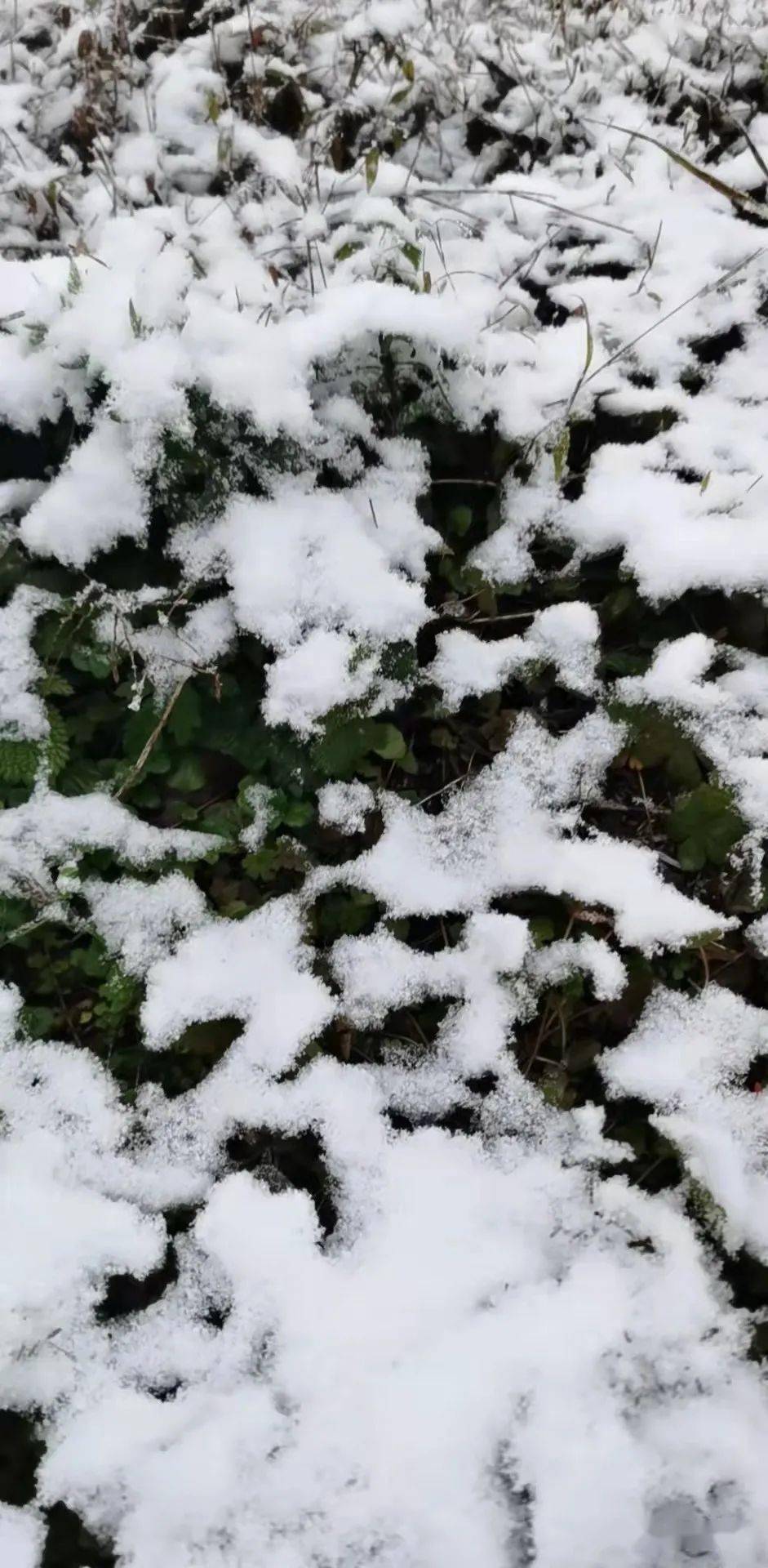 据贵州省气象局监测显示,11月21日08时至22日08时,全省阴天有小雨,省