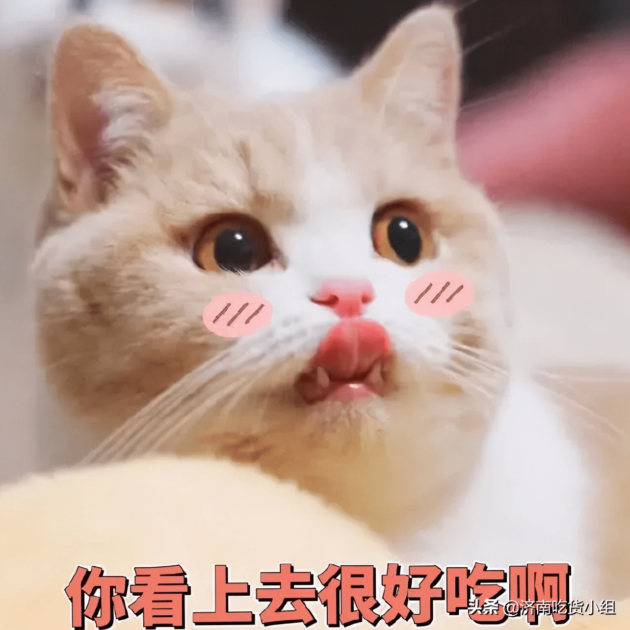 (西市场很火的拉面馆了!