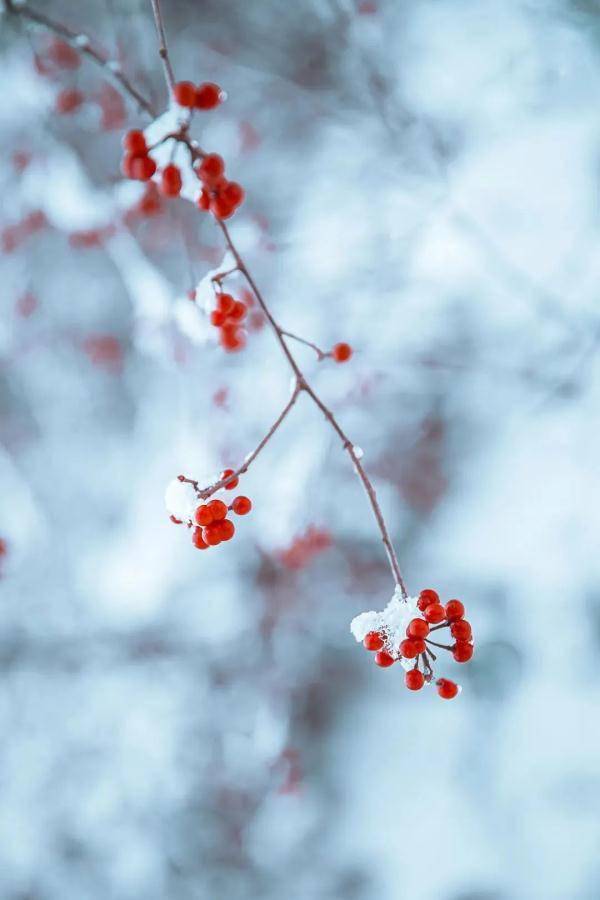 寒而|很应景！江西这里下雪了！