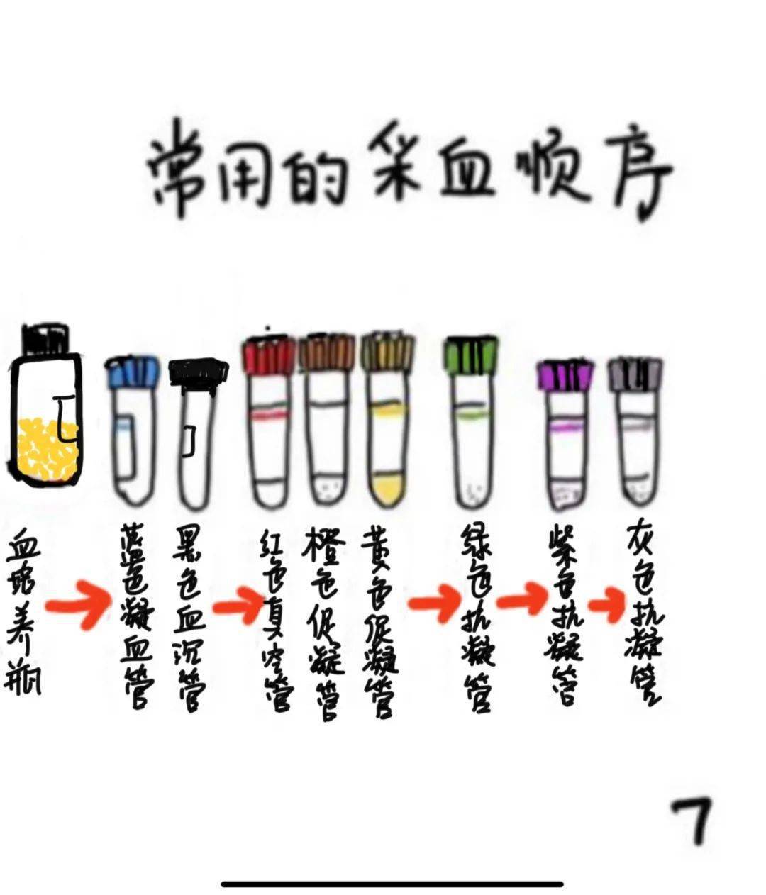 漫画科普采血管的种类你知道么