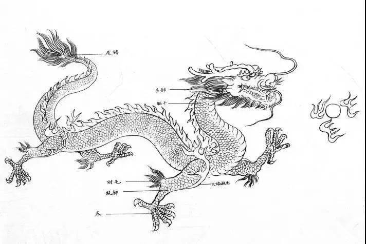 素材29幅中国龙白描图谱喜欢龙的朋友一定收藏