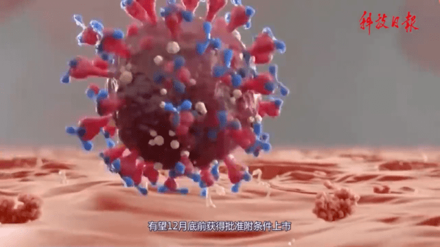 国产新冠特效药有望12月底前获批附条件上市