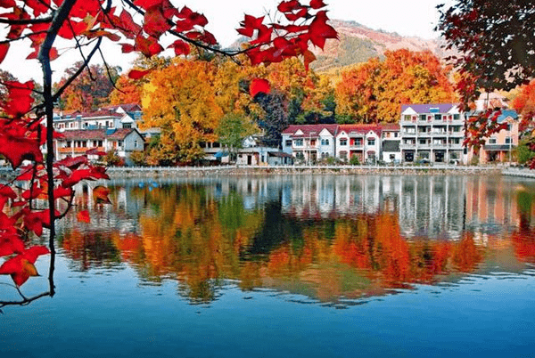 周末自驾20211112青山湖指南村自驾2日游