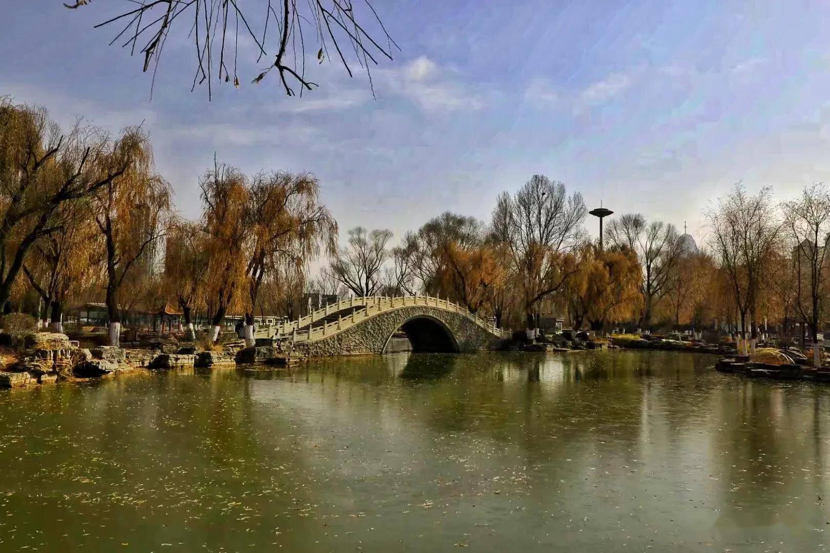 冬天的西宁人民公园是那么的静,那么的美,冬天的美景是说不完的_季节