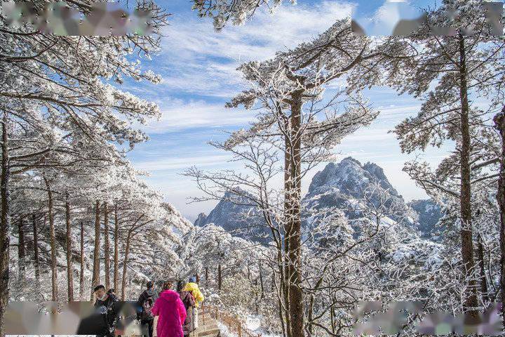 银装|雪后黄山银装素裹