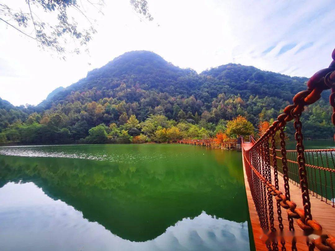 德保枫光乍现枫叶开始变红赏枫季即将拉开帷幕