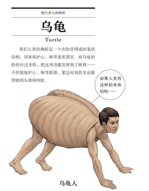 火烈鸟|绘画科普界中的阴间杠把子！他的插画惊艳了我的钛合金狗眼