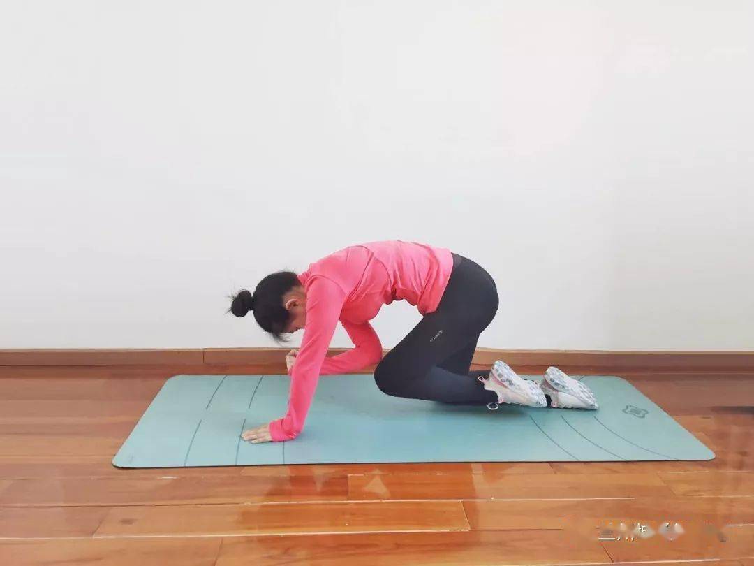 练习方法:跪撑准备,吸气时左手,右腿屈起向核心收紧,左肘尽力与右膝