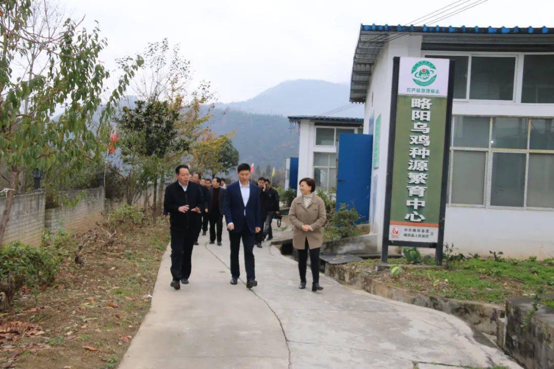 蔡斌在汉中调研时强调,抓好略阳乌鸡保护与开发,加快培育特色产业链