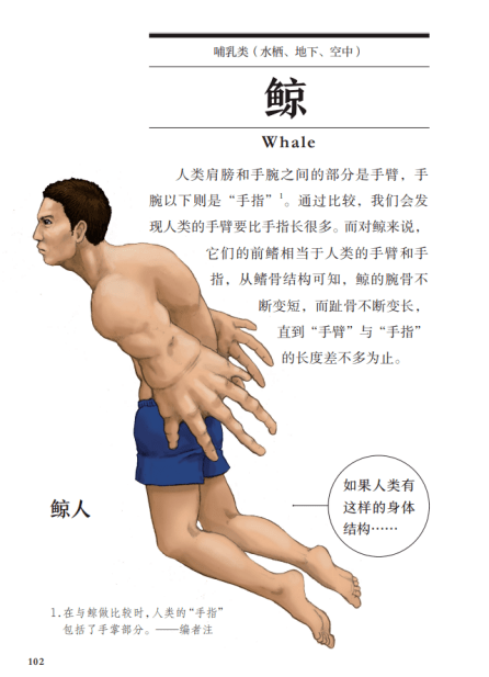 火烈鸟|绘画科普界中的阴间杠把子！他的插画惊艳了我的钛合金狗眼