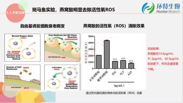 市场环特生物携斑马鱼生物技术亮相InnoCosme2021