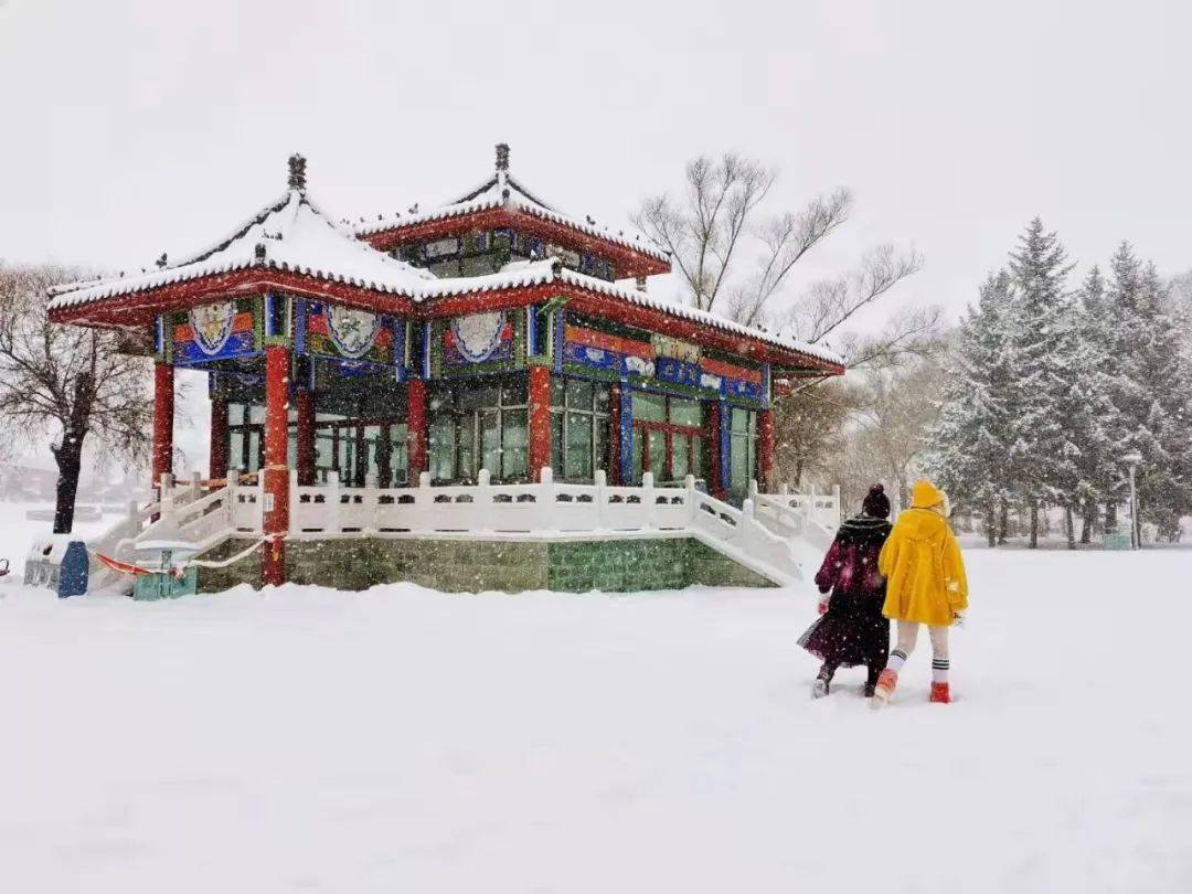 微博热搜第一名的鹤岗请全网看雪景