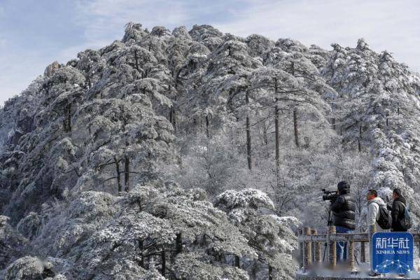 雪后黄山美图来了！银装素裹，宛如仙境