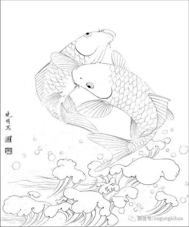 工筆素材丨李曉明工筆花鳥白描喜歡快收藏