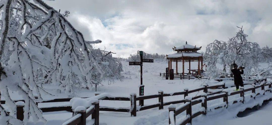 【生态旅游】冬日里遇见醉美的凤凰山