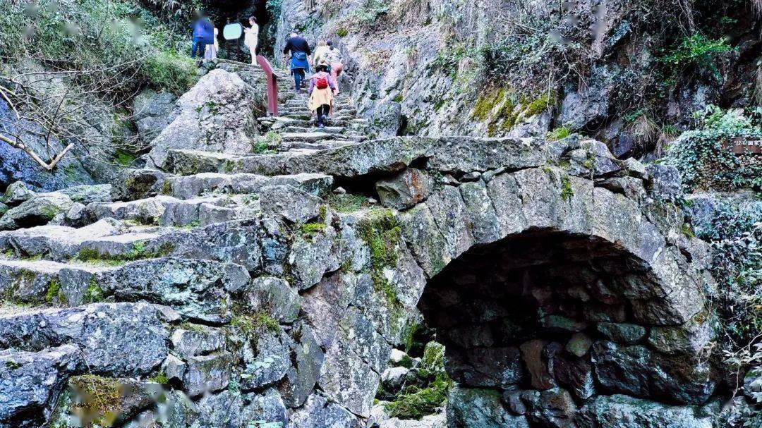 绍兴图说天涯石谷雪窦岭古道水杉林
